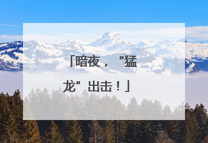 暗夜，“猛龙”出击！